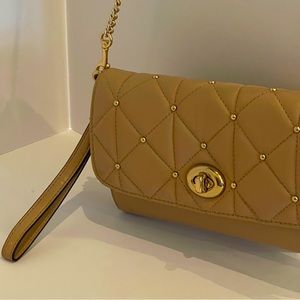 Coach wallet on a chain /cross body/NWT